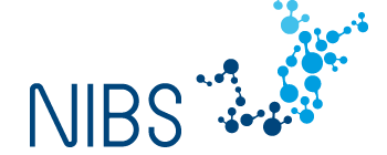 nibs-BALTIC